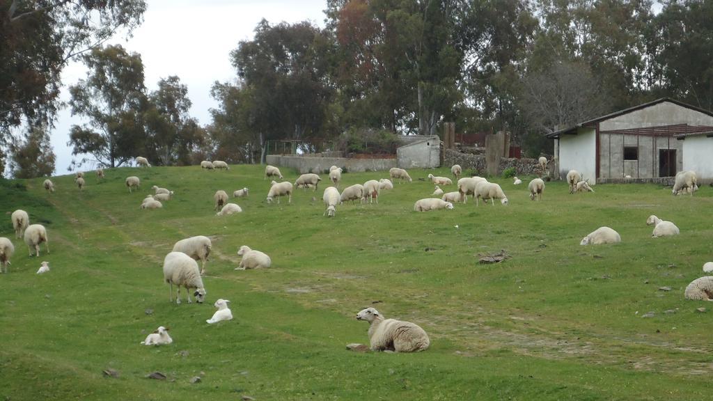 Casas Rurales El Caminante Aldeanueva del Camino Kültér fotó