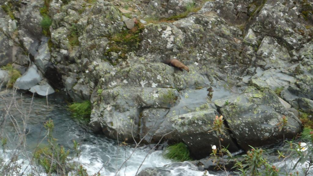 Casas Rurales El Caminante Aldeanueva del Camino Kültér fotó
