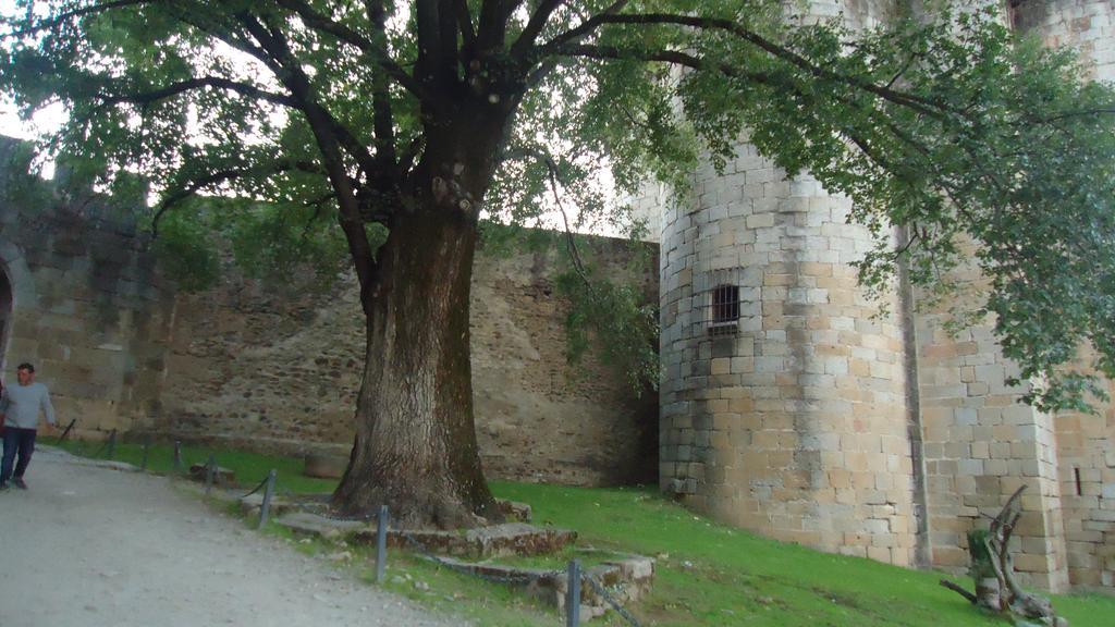Casas Rurales El Caminante Aldeanueva del Camino Kültér fotó